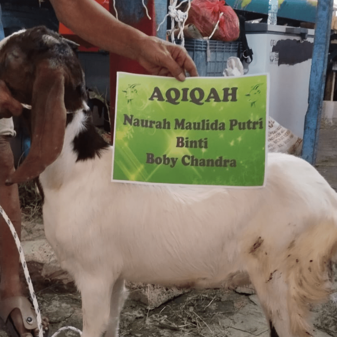 Sahila Aqiqah | Aqiqah Halal Mulai 1,9 Jutaan