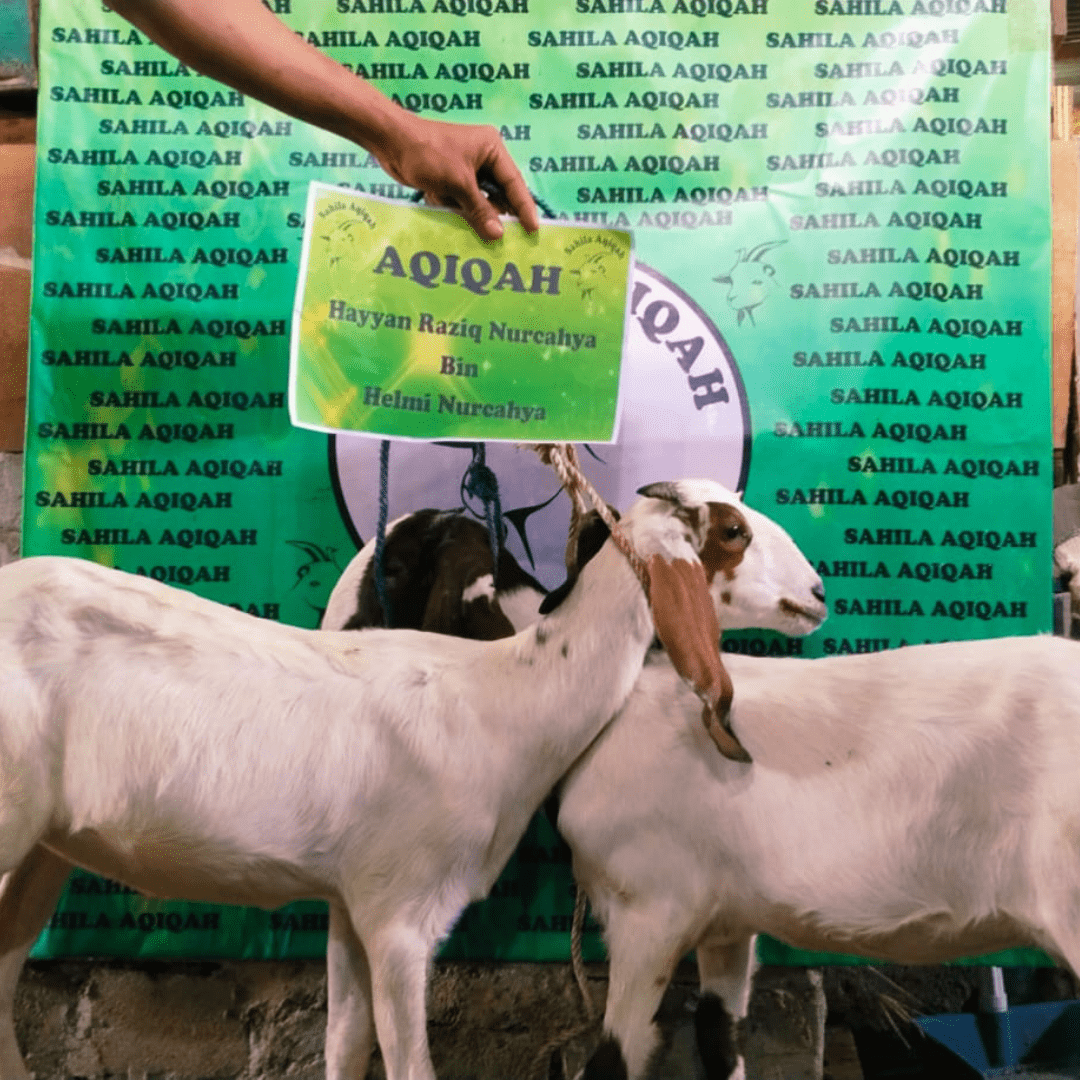 Sahila Aqiqah | Aqiqah Halal Mulai 1,9 Jutaan