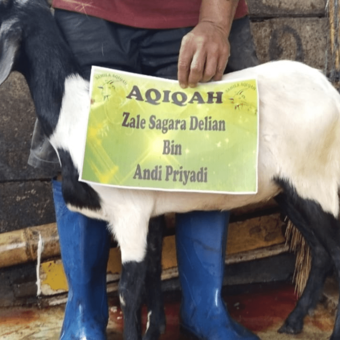 Sahila Aqiqah | Aqiqah Halal Mulai 1,9 Jutaan