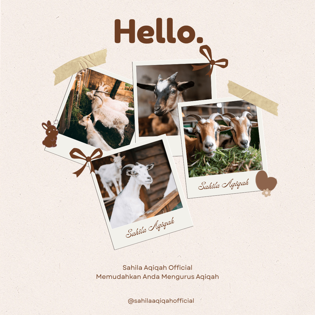 Sahila Aqiqah | Aqiqah Halal Mulai 1,9 Jutaan