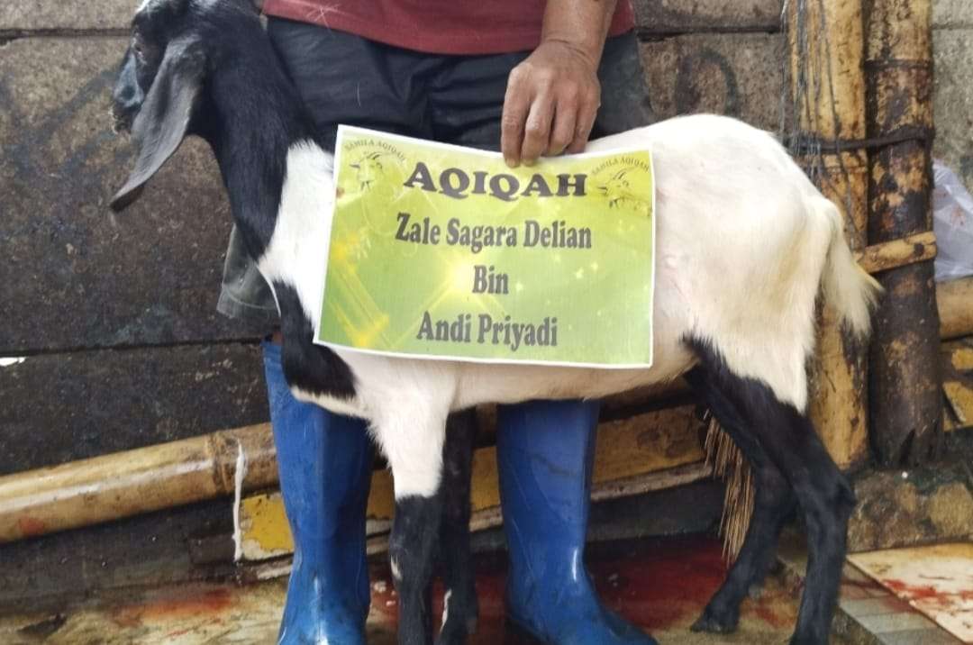 Sahila Aqiqah | Aqiqah Halal Mulai 1,9 Jutaan