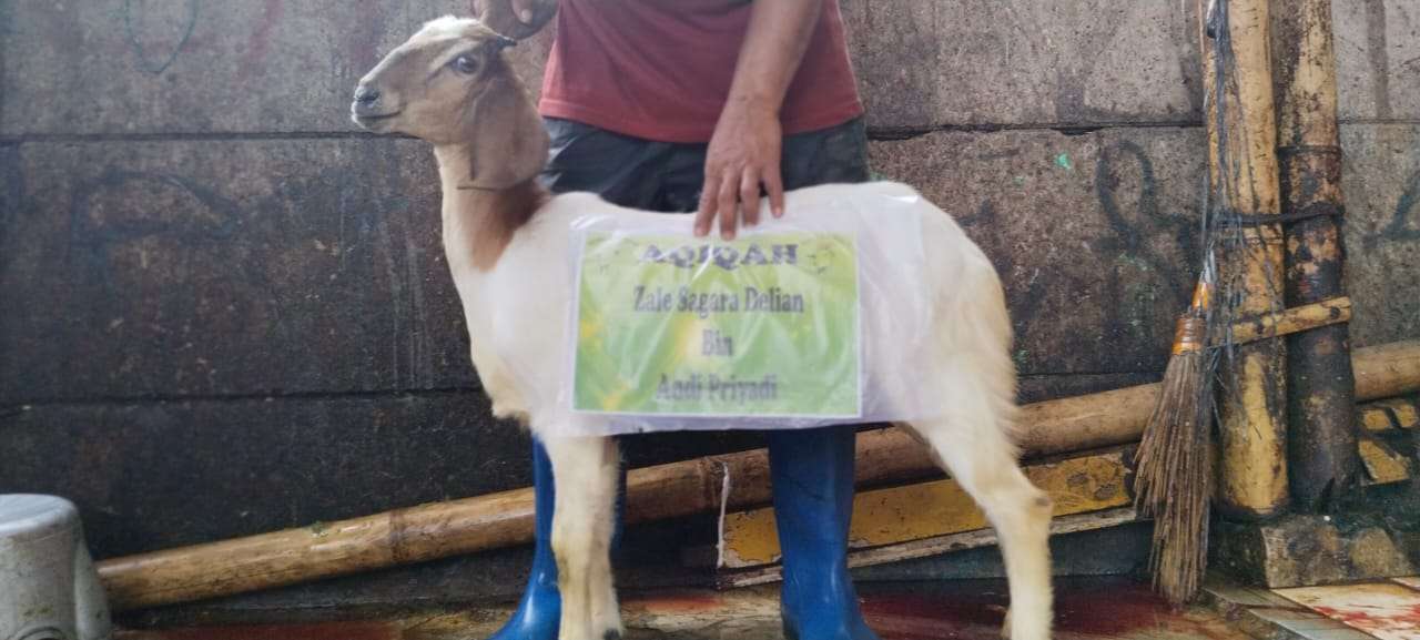 Sahila Aqiqah | Aqiqah Halal Mulai 1,9 Jutaan